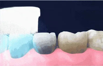 Probiotic Whitening Toothpaste (Pack of 2)